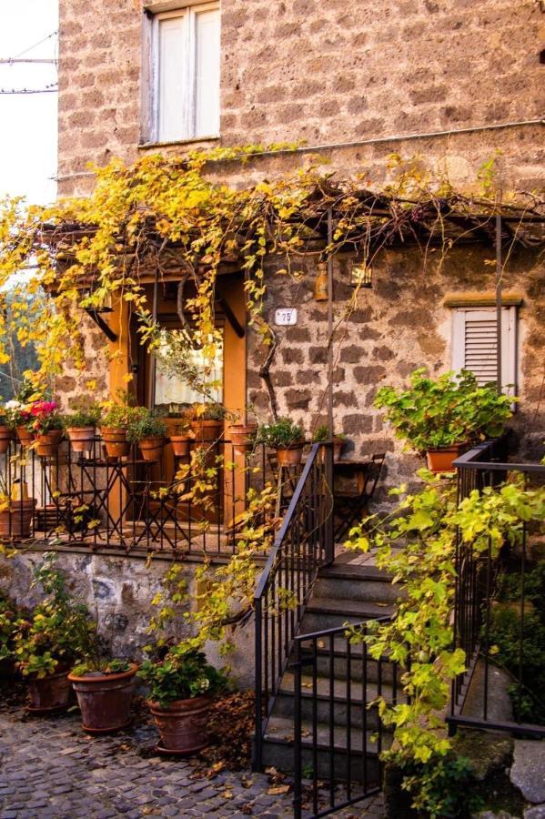Villa Renaissance Boutique House à Ronciglione  Extérieur photo